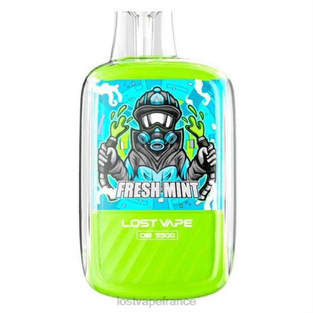 Lost Vape France - Lost Vape Orion ob5500 5500 bouffées 14 ml 50 mg jetables menthe fraîche 2F66101